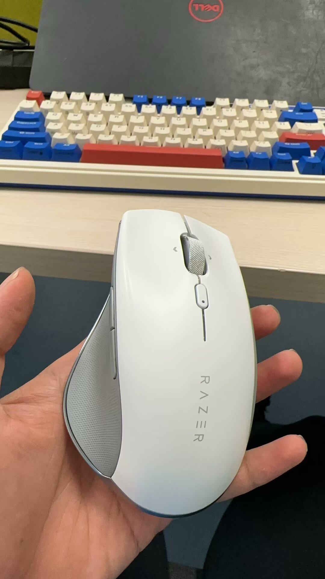鼠标